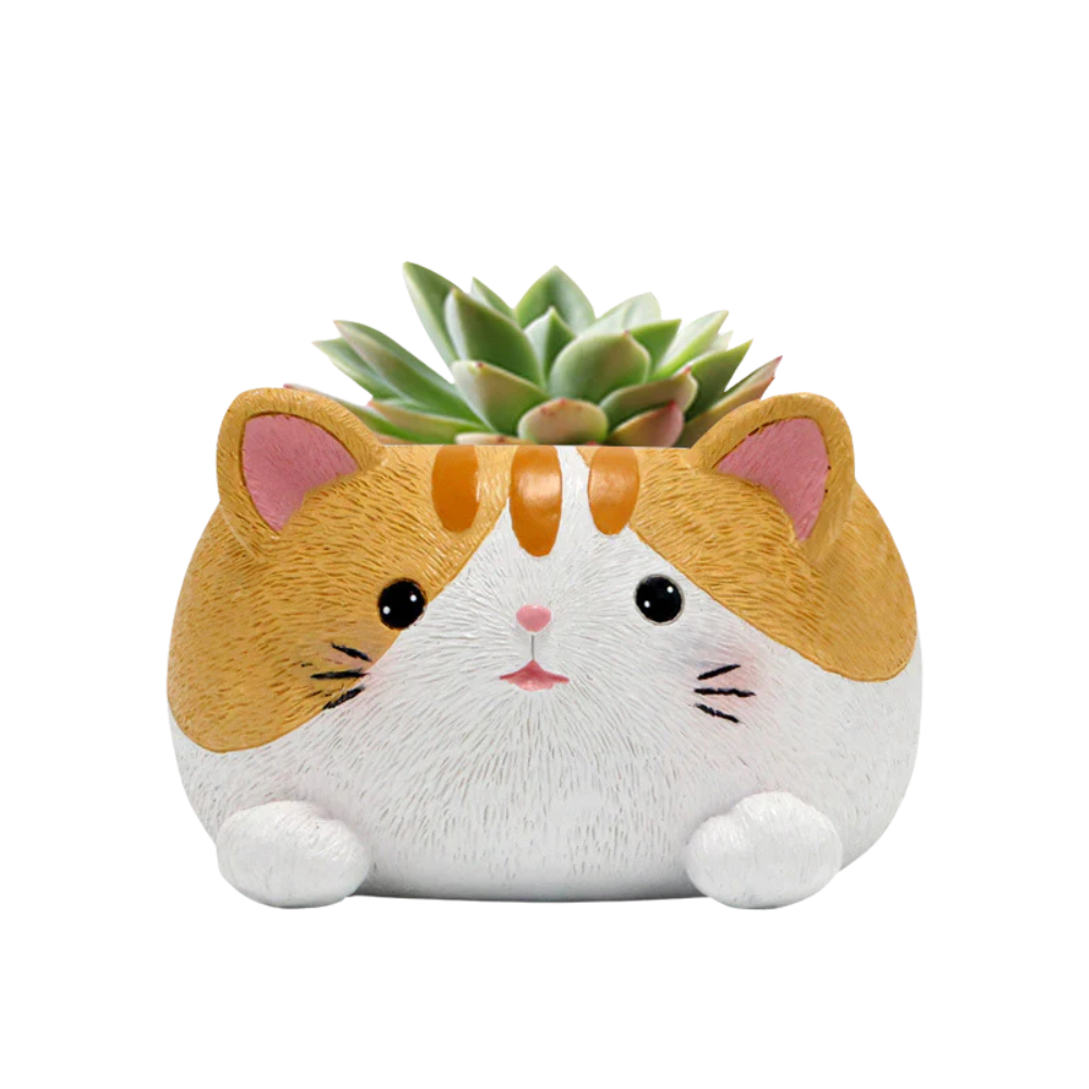 Orange Kitty Plant Pot